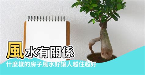 風水有關係大象|【大象 五行】大象，水金之爭？三界五行解析象徵吉祥與禁忌